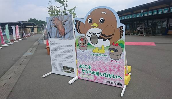 裕次郎峠さんが訪問した道の駅サシバの里いちかいの駅写真3
